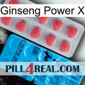 Ginseng Power X new14